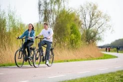 Amigo E-Vibe D1 - Elektrische Stadsfiets Voor Heren - Met 7 Versnellingen - Matgrijs -Fietsonderdelen Winkel 1200x800 33