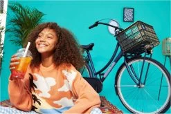 Cortina Fietskrat San Francisco - AVS-dragers - Zwart - 33 L -Fietsonderdelen Winkel 1200x801 10