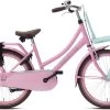 Valetta Cargo - Transportfiets - Meisjesfiets - 22 Inch - Mint Roze
